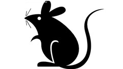 办公室灭鼠七法