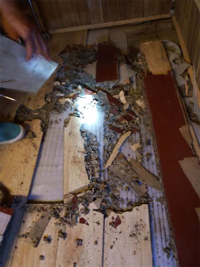 家庭灭白蚁防治现场