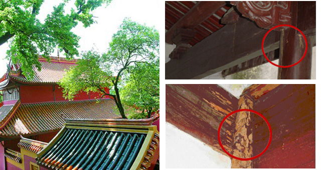 12_看图王.jpg